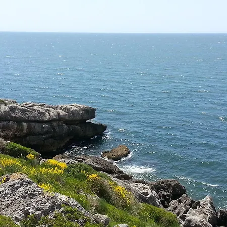 Parco Dei Gerani - Il Monolocale E La - And Casa de hóspedes Formia