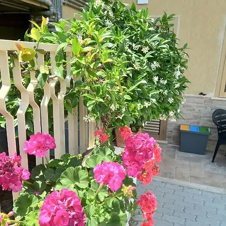 Parco Dei Gerani - Il Monolocale E La - And Guest house *